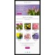 Email Template for Florist